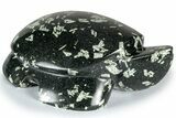 Carved Chinese Writing Rock Turtle - Australia #309063-1